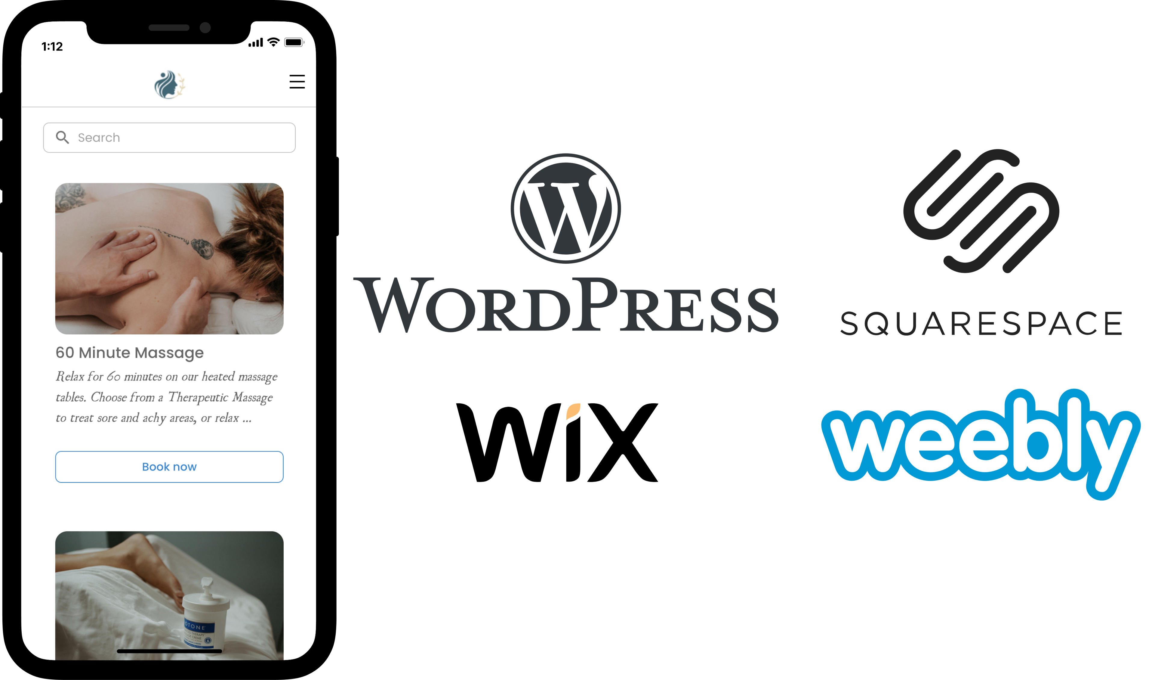 online scheduling widget wordpress