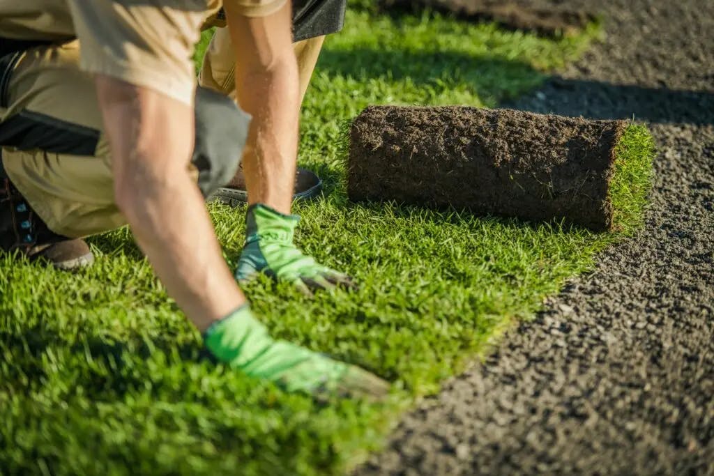 The Best Software Tools for Landscaping Businesses in 2022